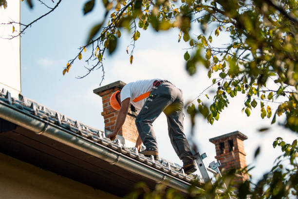 Best Storm Damage Roof Repair  in Pampa, TX