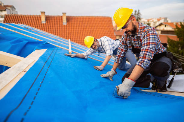 Best Roof Insulation Installation  in Pampa, TX